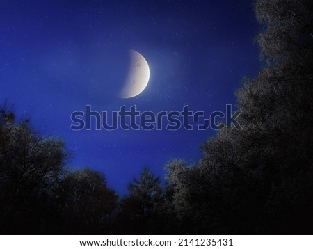 Big moon and stars in the night sky above the treetops. Night landscape, crescent moon shining over the forest. 