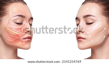 Young woman with half of face with muscles structure under skin. Royalty-Free Stock Photo #2141254769