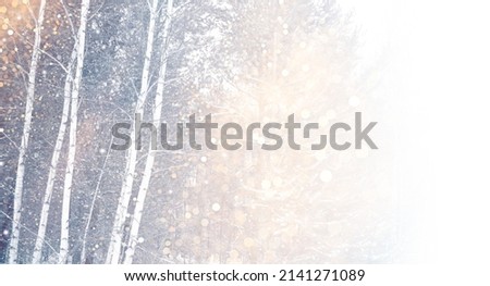 Blurred. Frozen winter forest with snow covered trees. outdoor