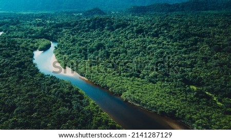 Aerial photo of amazon rain forest jungle  river