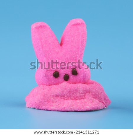 Pink Easter peep, marshmallow peeps Easter candy, melting into a puddle. Disappointment Easter concept. Royalty-Free Stock Photo #2141311271
