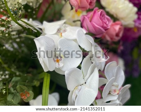 The beauty of the flowers. Wide range of colors Nature of plastic flowers White flower background, creating a natural pattern A different color of plastic.             