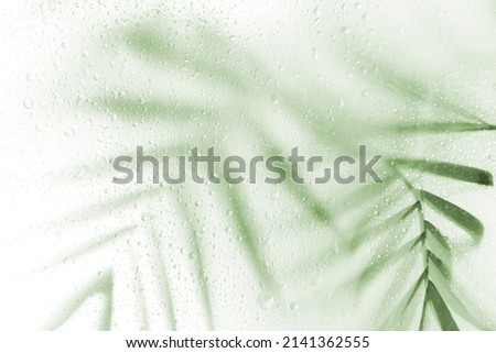 blurred silhouette palm leaves shadow effect. defocus picture with fog effect of palm leaves silhouettes behind. out of focus, vertical shot.