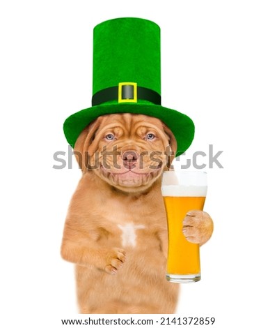 St Patrick's Day concept. Funny mastiff puppy wearing hat of the leprechaun with a glass of beer. isolated on white background