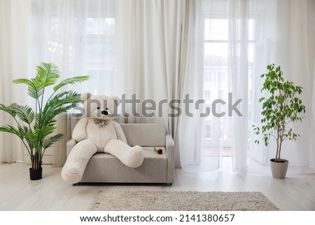 interior of a white room sofa with a teddy bear with a domestic green palm plant