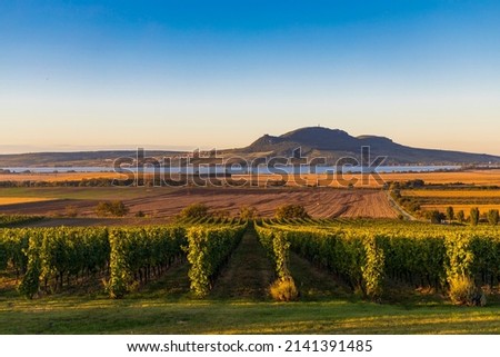 Autumn vineyards under Palava near Sonberk, South Moravia, Czech Republic Royalty-Free Stock Photo #2141391485