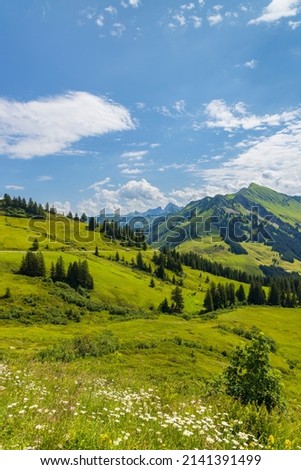 Typical alpine landscape in early summer near Damuls, Vorarlberg, Austria Royalty-Free Stock Photo #2141391499