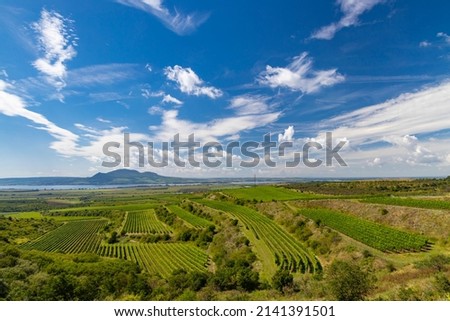 Vineyards near Nove Mlyny reservoir with Palava in Southern Moravia, Czech Republic Royalty-Free Stock Photo #2141391501