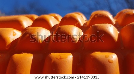 Orange yoga roller in drops of water in the sun, in a clear blue sky; blurred silhouette of bare treetops in the background (macro, side view, horizontal, texture).