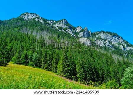 Beautiful scenic view of the green mountains on a sunny day
