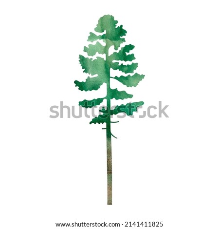 Hand painted watercolor illustration of pine tree silhouette. Isolated objects on white background. 