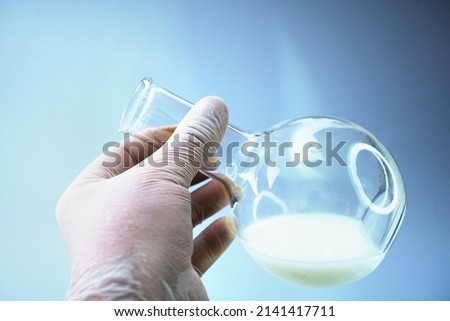 Close up view of transparent glass test flask with white liquid inside. Isolated on grey backdrop. Laboratory tests and research.Chemistry science or medical biology experiment.Laboratory background. Royalty-Free Stock Photo #2141417711
