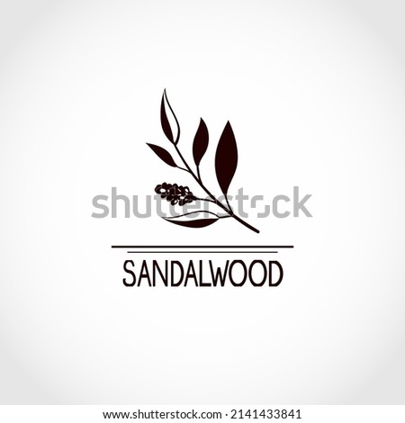Sandalwood. Medicinal plant. Leaves, flowers, stem. Silhouette. Logo, icon, emblem. Royalty-Free Stock Photo #2141433841