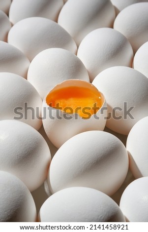 Row of white eggs and single broken egg with a yolk. White Eggs and Yellow Egg Yolk.Shallow depth of field