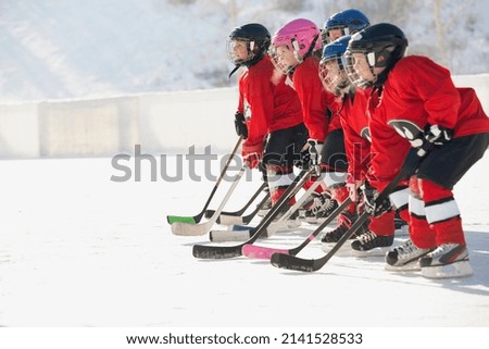 Ice hockey team standing in a row on ice rink