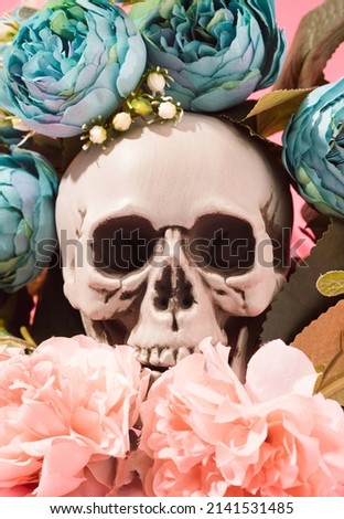 Human skull surrounded with teal and pink flowers. Day of the dead, Santa Muerte conceptual background.