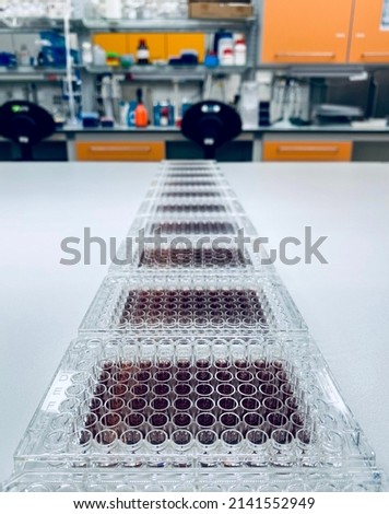 MTT cell viability assay in cancer drug discovery research. Royalty-Free Stock Photo #2141552949