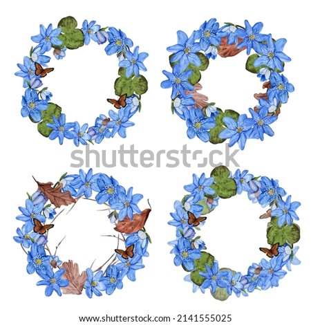 Hepatica blue spring floral wreath set. Watercolor illustration. Isolated on white background. Hand painted card. illustration for design.
