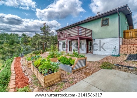 A view of a comfortable back yard with a patio