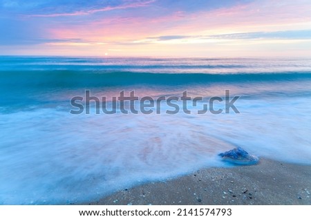 Jellyfish on the sea beach in white foam, sunrise with pink clouds. Ukraine.