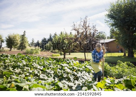 Woman working in sunny vegetable garden