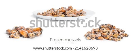 Frozen mussels isolated on a white background. High quality photo