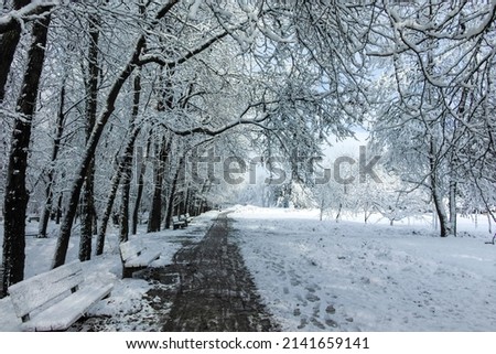 Amazing Winter view of South Park in city of Sofia, Bulgaria