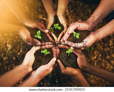 Were all responsible for a better tomorrow. Closeup shot of a group of unrecognizable people holding plants growing out of soil. Royalty-Free Stock Photo #2141709015