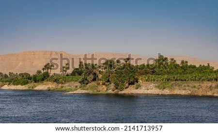 Lush green vegetation and palm trees grow on the riverbank. A high sand dune against a clear azure sky. Ripples on the blue water. Egypt. Nile