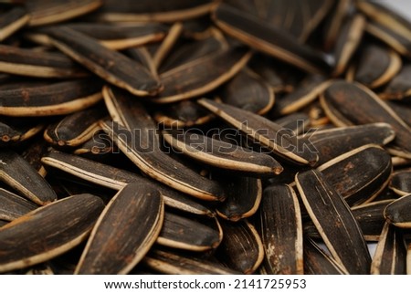 Macro shot of a pile of fried sunflower seeds