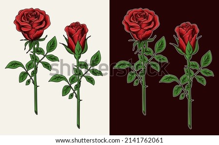 Clip art with lush blooming red roses with stems. Engraving vintage style. Isolated vector illustration