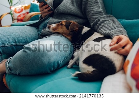 Cropped shot of a woman using smartphone while her dog is lying on her leg at home and relaxing on the couch in the living room at house. Adorable friendship between animal and human Royalty-Free Stock Photo #2141770135