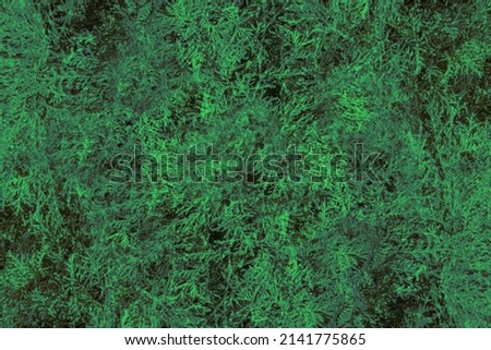 Abstract grunge green background texture