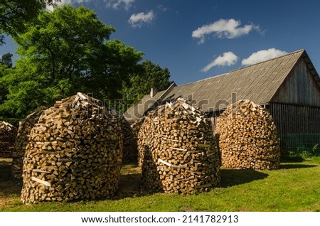 Round stacks of split firewood in sunny summer day.