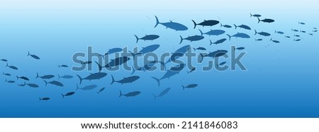 School of fish swimming under water of sea. School tuna fish swims in underwater Royalty-Free Stock Photo #2141846083