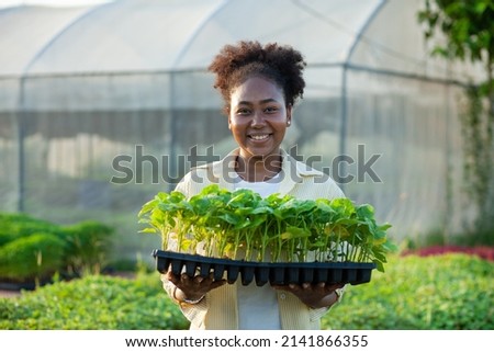 portrait of an african worker in the nursery Happy in the greenhouse.
looking at camera Royalty-Free Stock Photo #2141866355
