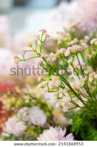A bouquet of decorative artificial green twigs with white miniature buds.Background photo.