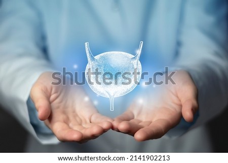 Bladder issues medical concept. Photo of female doctor, empty space.  Royalty-Free Stock Photo #2141902213