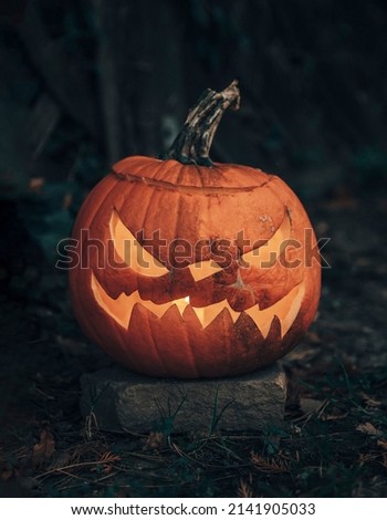 A pumpkin in the helloweentime