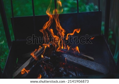 Fire in the barbecue in the dark. Burning firewood. Rest in nature in summer. Cooking in the yard