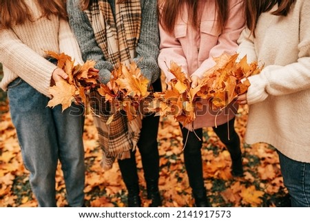 Cropped four women company in warm clothes, spending time together in autumn park. Holding bunch of maple leaves Royalty-Free Stock Photo #2141917573
