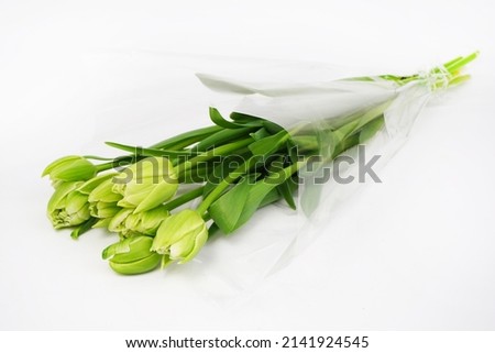 Horizontal photo with green  tulips and greenery   at white background. Close-up with details. Place for text. The concept of the holiday on March 8. Lots of yellow tulips close by. flat lay