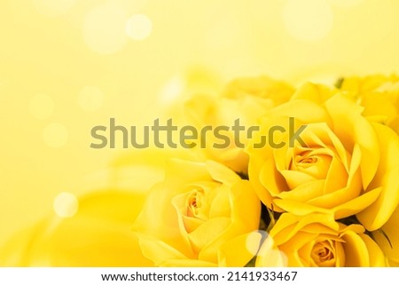 Yellow rose congratulatory message card