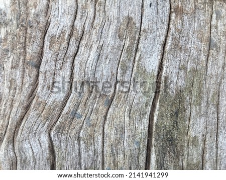 close-up old wood grain background