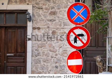 Cat and small road signs with prohibited on the background of buildings on the street in the old town, no parking, stopping, turn, pass, entry