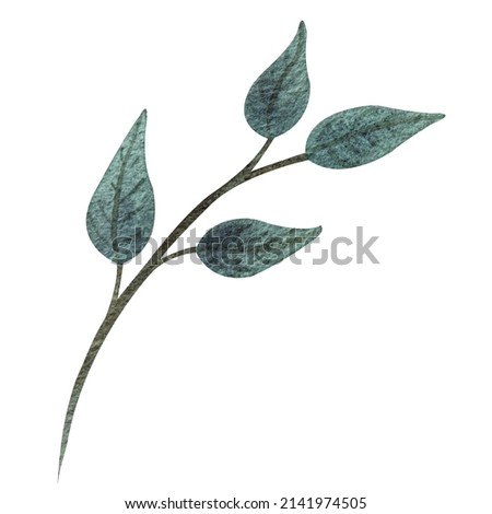 Watercolor illustration of isolated wild field leaves. Botanical illustration