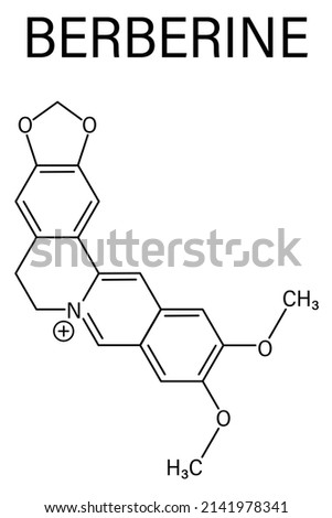 Berberine herbal medicine molecule. Skeletal formula. Royalty-Free Stock Photo #2141978341