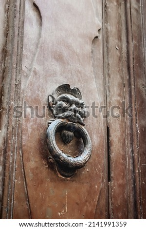 door with a brass knocker in the shape of a man's head, a beautiful entrance to the house. Wooden door, detail. Decorative element. a door handle in the shape of a face that holds a ring in its teeth