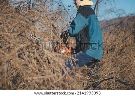 young 17-year-old temporary worker in work clothes wrestles with a chainsaw and a dry larch tree. Wood processing in the wilderness. Cutting a fallen tree into parts. Learning a new workforce. 