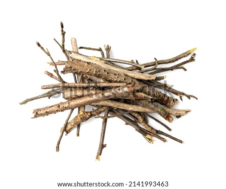 Branches pile isolated. Dry twigs pile ready for campfire, sticks, boughs heap for a fire, dry thin branches, brushwood Royalty-Free Stock Photo #2141993463